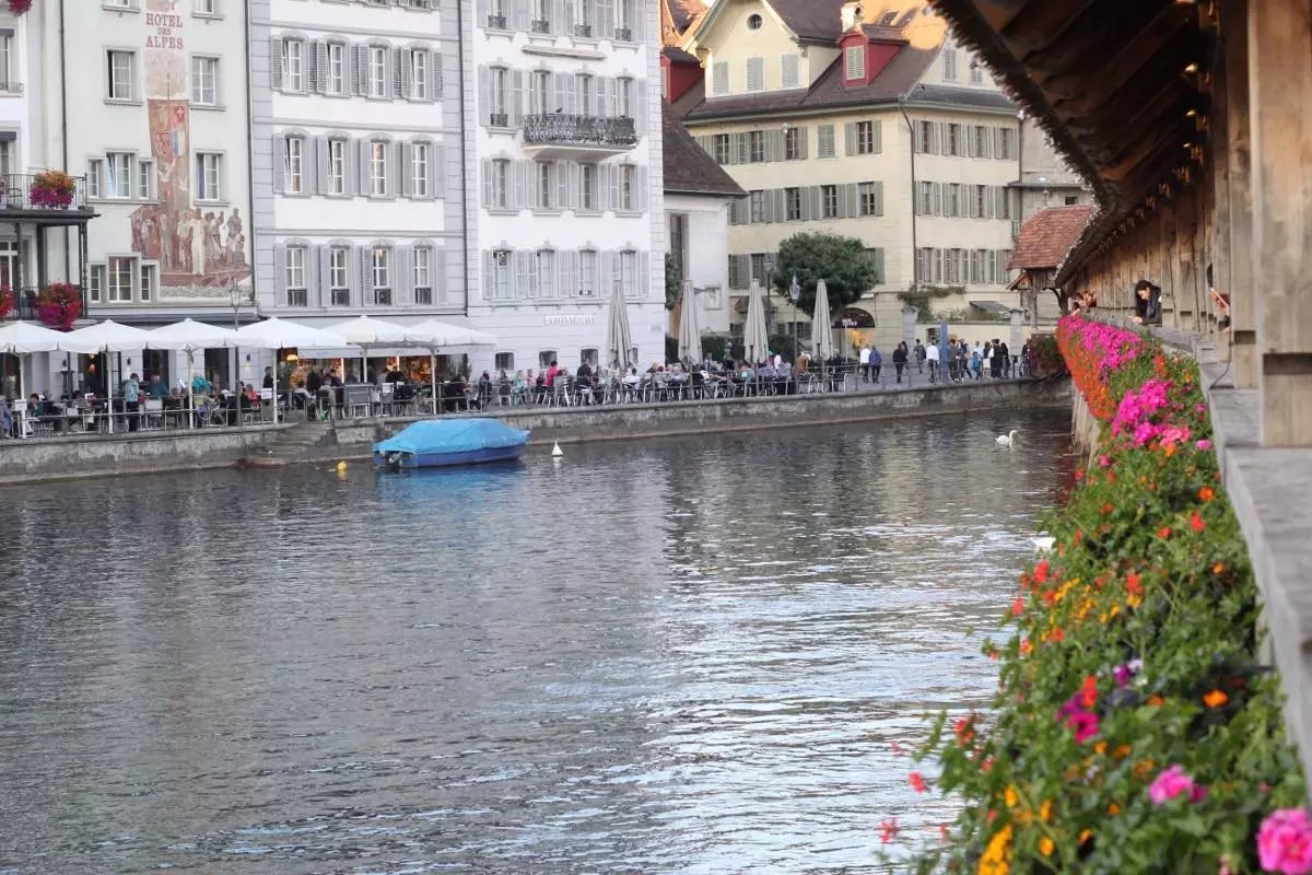 蓝瘦香菇在这里视频,蓝瘦香菇在法国