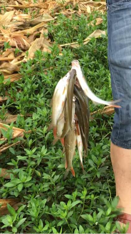 为什么野钓更舒服,为什么野钓要钓底