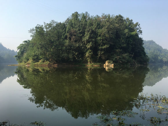 为什么野钓更舒服,为什么野钓要钓底