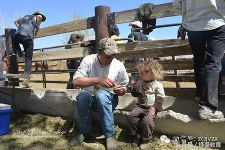 比哈佛还难进的大学——深泉学院(家长们都来学习一下吧)