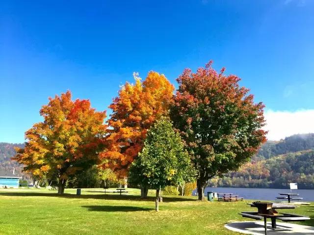 你们都错了，其实加拿大的秋季才是最厉害的时装大师