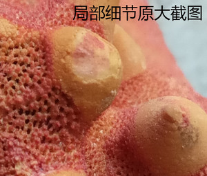 乐视乐2拍照体验,乐视手机乐2评测