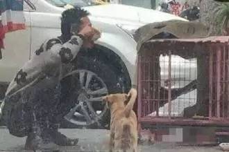 看淘宝好评率,看淘宝好评差评