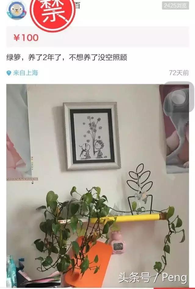你这些破烂，就不要在网上卖了