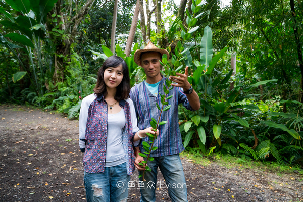 金银岛是真实存在的吗,金银岛神秘之谜