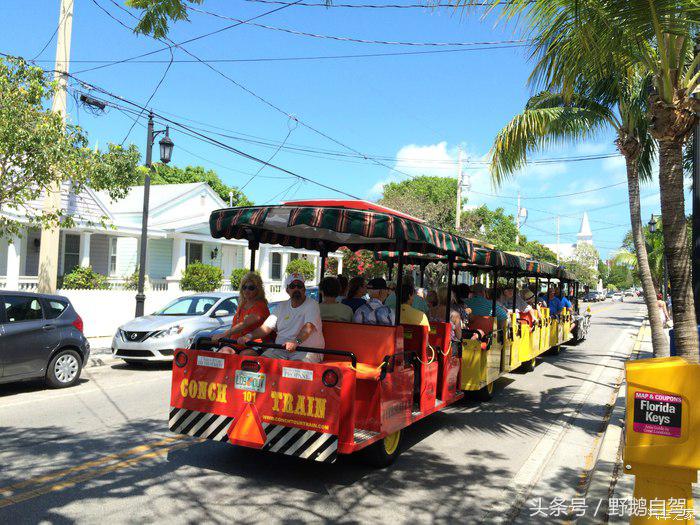 野鹅旅行,野鹅自驾无人区