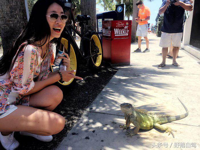 野鹅旅行,野鹅自驾无人区