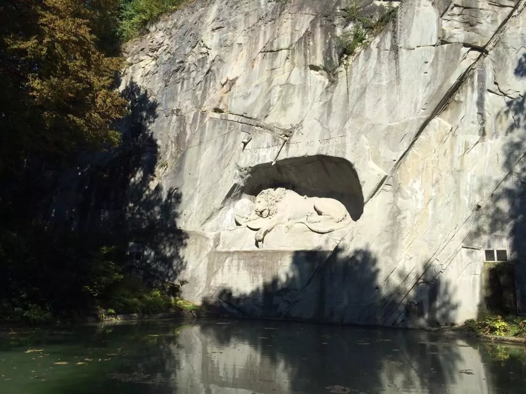 蓝瘦香菇在这里视频,蓝瘦香菇在法国