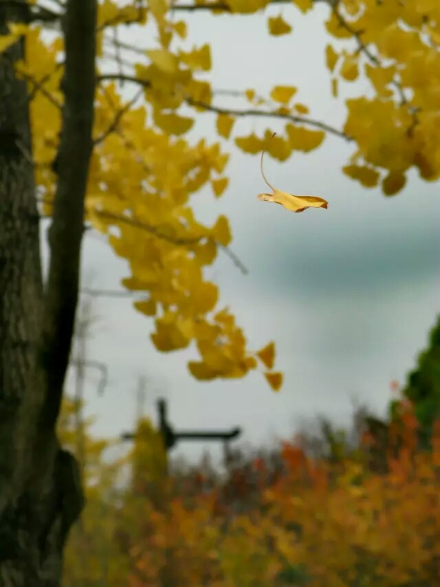 汉中美在何处,汉中算是全中国最漂亮的地方