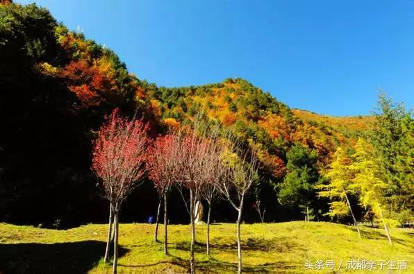 秋看落叶，夏玩水！成都边边观红叶圣地推介