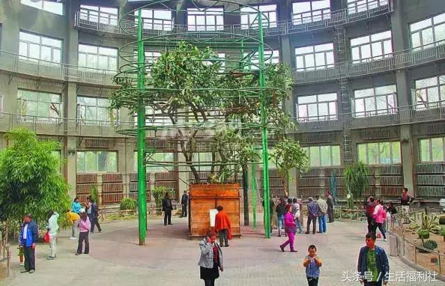 哈尔滨与人民有关的标志,哈尔滨标志性符号