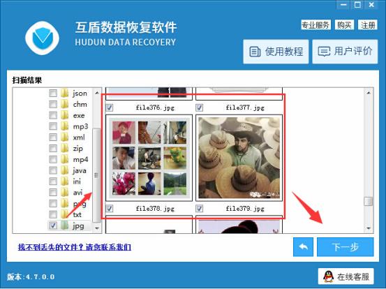 郭斯特是什么猫,郭斯特的猫高清图片