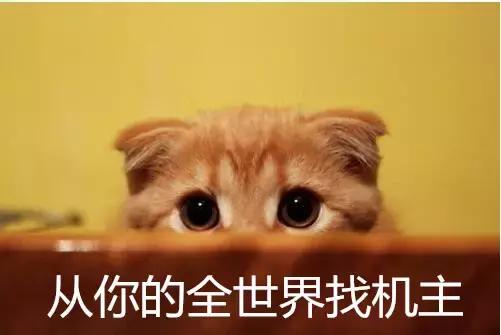 手机呼叫转移怎么设置不成功,手机呼叫转移来电提醒怎么解除