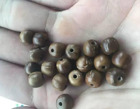 库克纯肉手串,库克手串啥做的