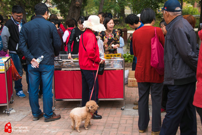深秋的旅顺太阳沟,大连旅顺太阳沟秋景说说