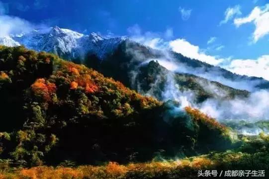 秋看落叶，夏玩水！成都边边观红叶圣地推介