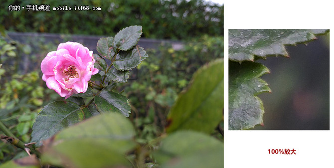 情怀落地,锤子情怀