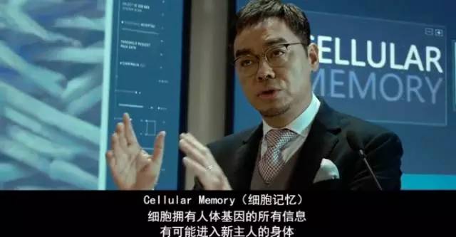 这部烂片我看了十遍,原创当年无人问津的6部烂片