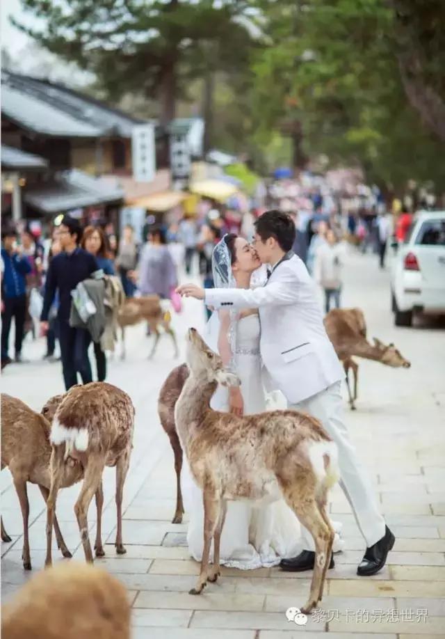 9种不同的超甜婚纱照,最有创意的婚纱照看完想结婚了