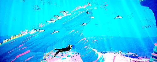 水肺潜水完能浮潜吗,水肺潜水和浮潜区别