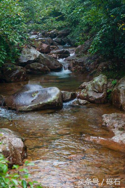 江南水乡石板路,江南水乡的古道