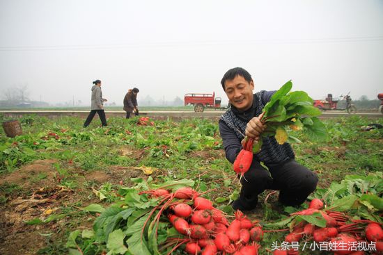 农村的十种最赚钱的小生意,农村致富的10个门路