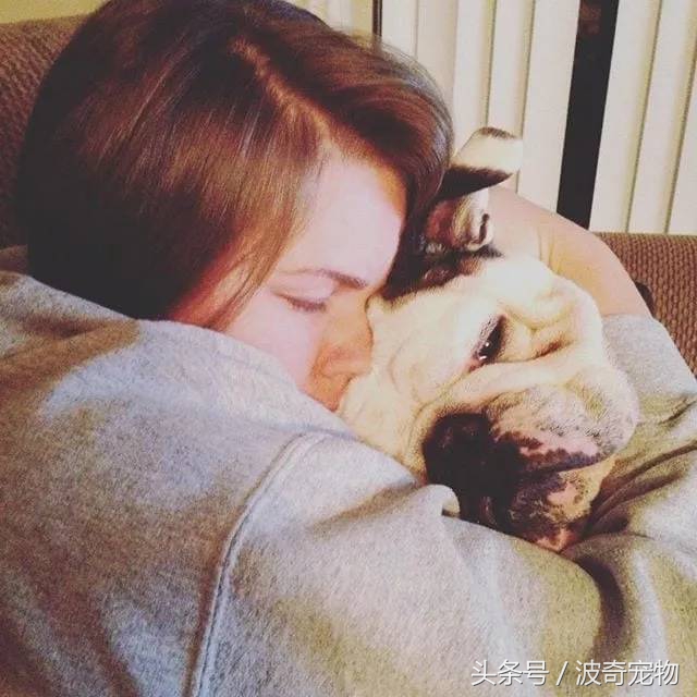 狗狗和你亲的几个表现,当你和你家的狗对视