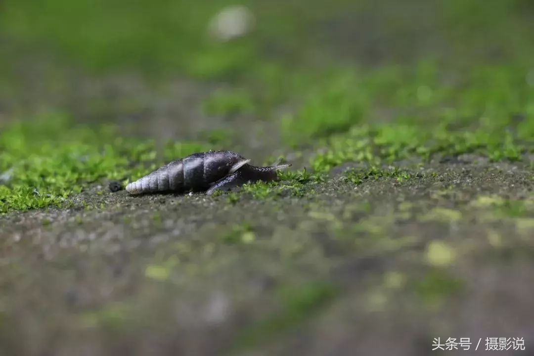 nisi近摄镜使用方法视频,nisi耐司滤镜