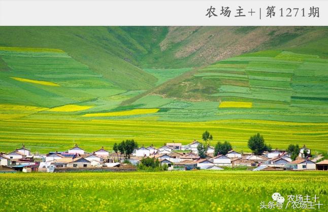 成功的休闲农庄需要具备哪些条件,做休闲农庄必须考虑的几个问题