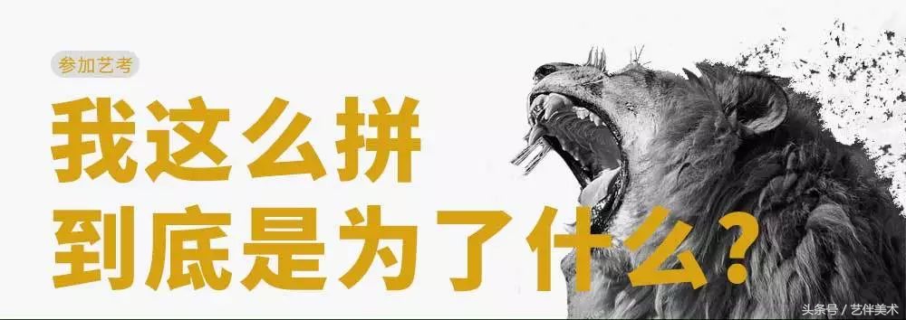 北京宋庄栾树画室环境,北京栾树画室基础教学