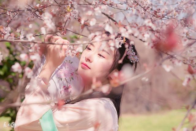 小说农女只想种种田,农女要发家小说