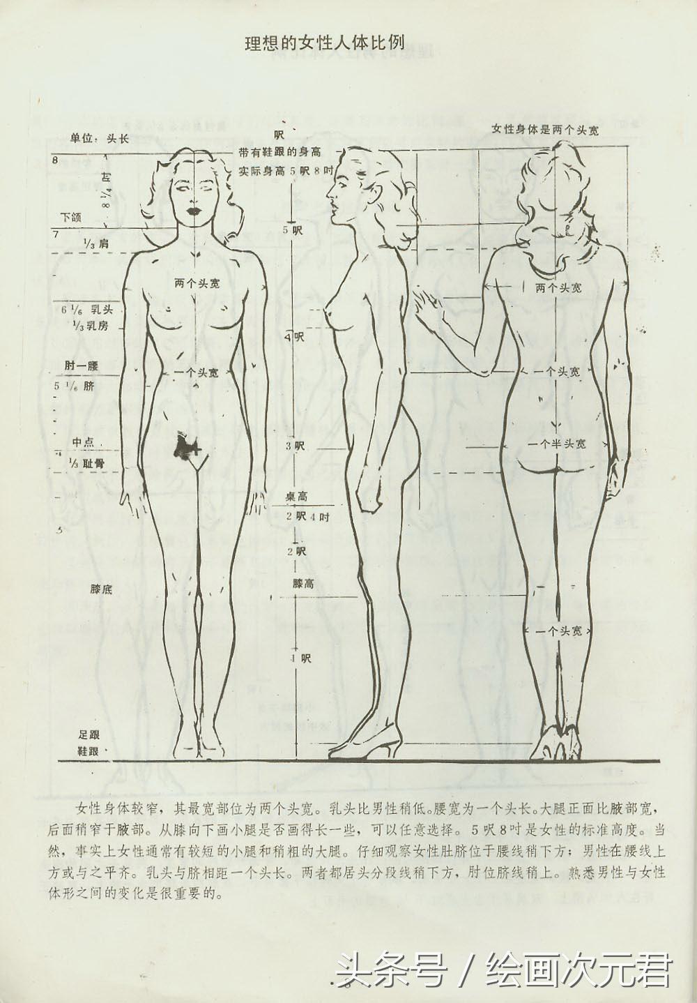 画好的人体结构画法,人体结构与动态基础教程