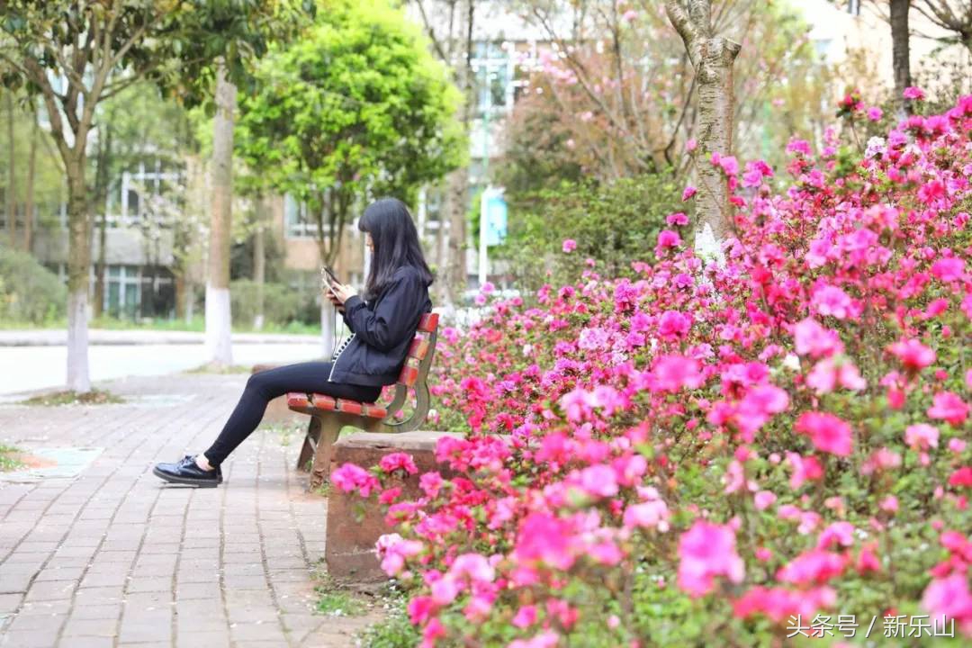 乐山的春天有多美,没去过乐山大佛但感觉去过