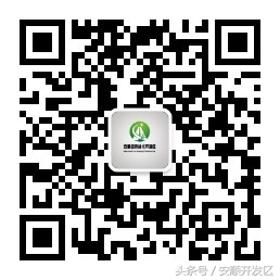 经开区：黄齐生小学新校区启用迎来400余名复学学生