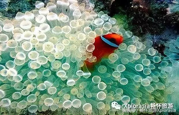 去热浪岛要准备什么,去热浪岛穿什么