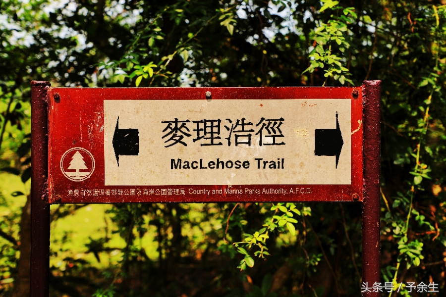 行麦径风景时宿轻沙绵风中