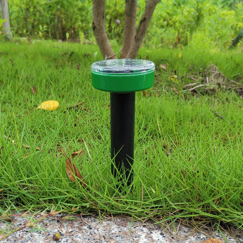 恐怖剧毒蛇吃蛇上演毒蛇互吞大战,罕见蛇吃蛇