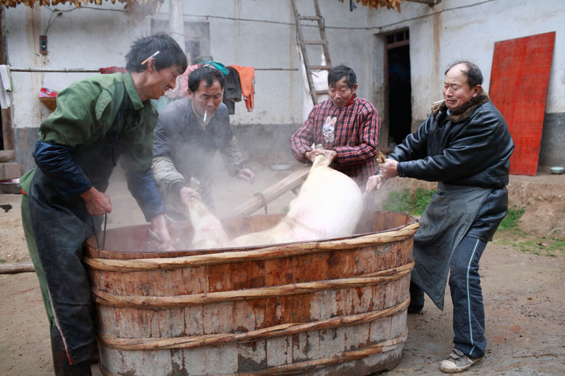疫情也挡不住游子归家的心,疫情也挡不住吃货的心