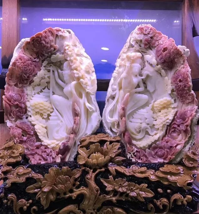 世界上贝壳里面最大的珍珠,最大珍珠贝壳