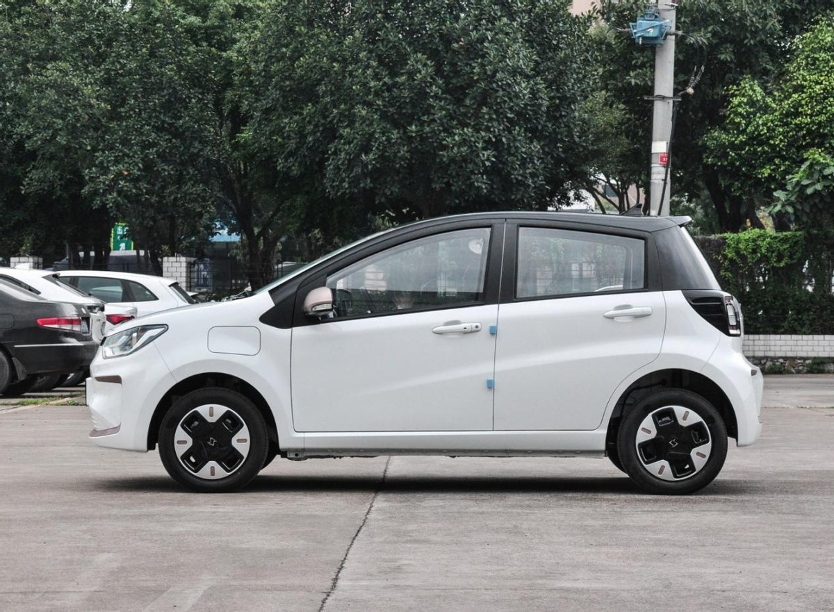 小型纯电车有哪些品牌,小型纯电车最便宜