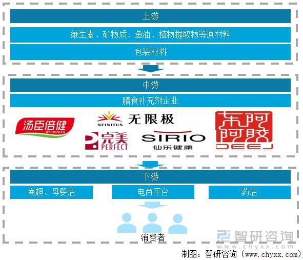 营养补充剂行业分析,中国营养健康食品行业蓝皮书