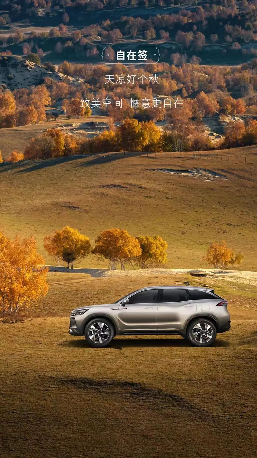 快来领你的壁纸,秋日壁纸