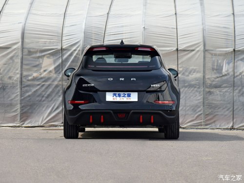 小姐姐的小猫咪,可爱的小野猫小姐姐