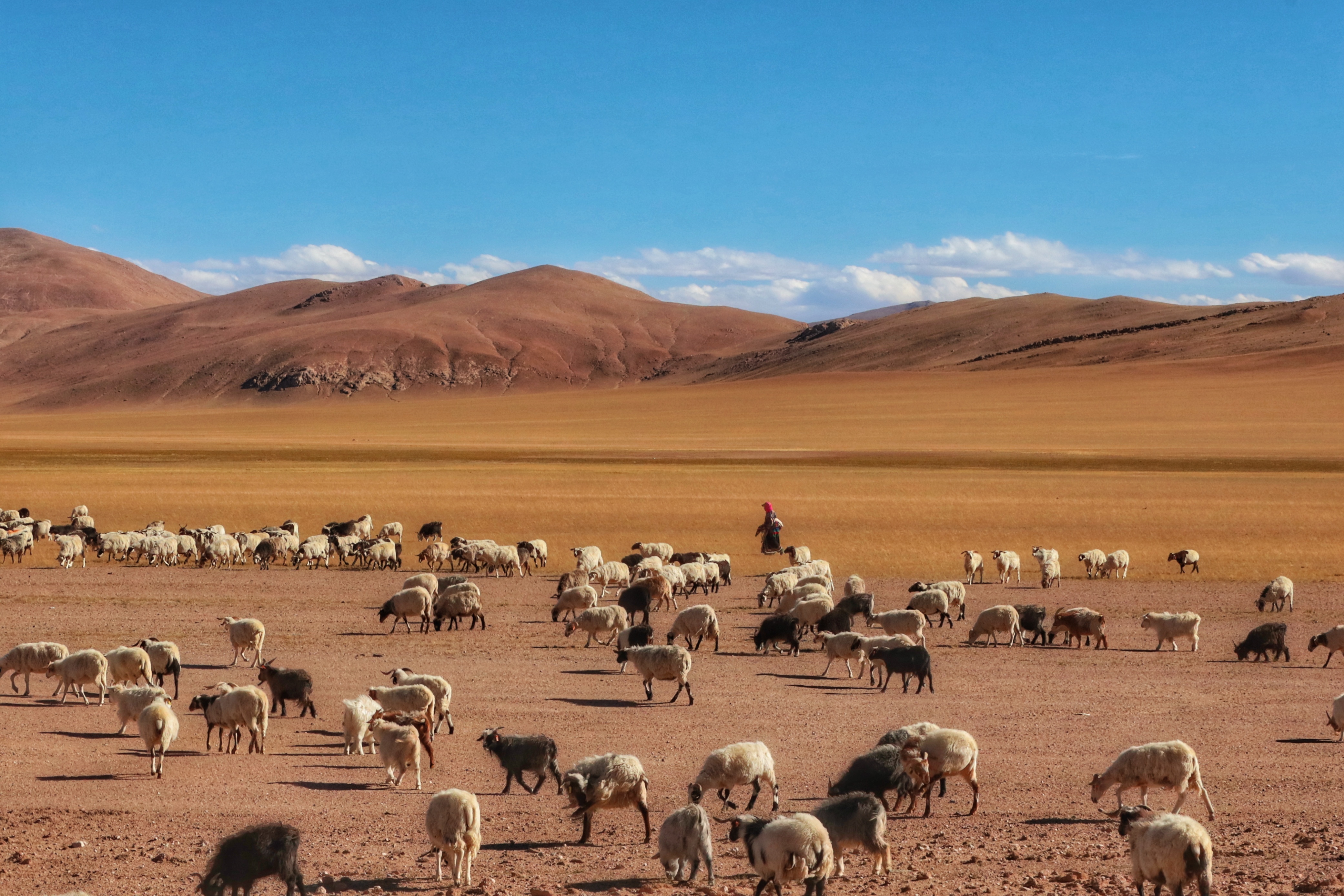蔚水好听吗,小说爱你是迟来的欢喜作者蔚水水