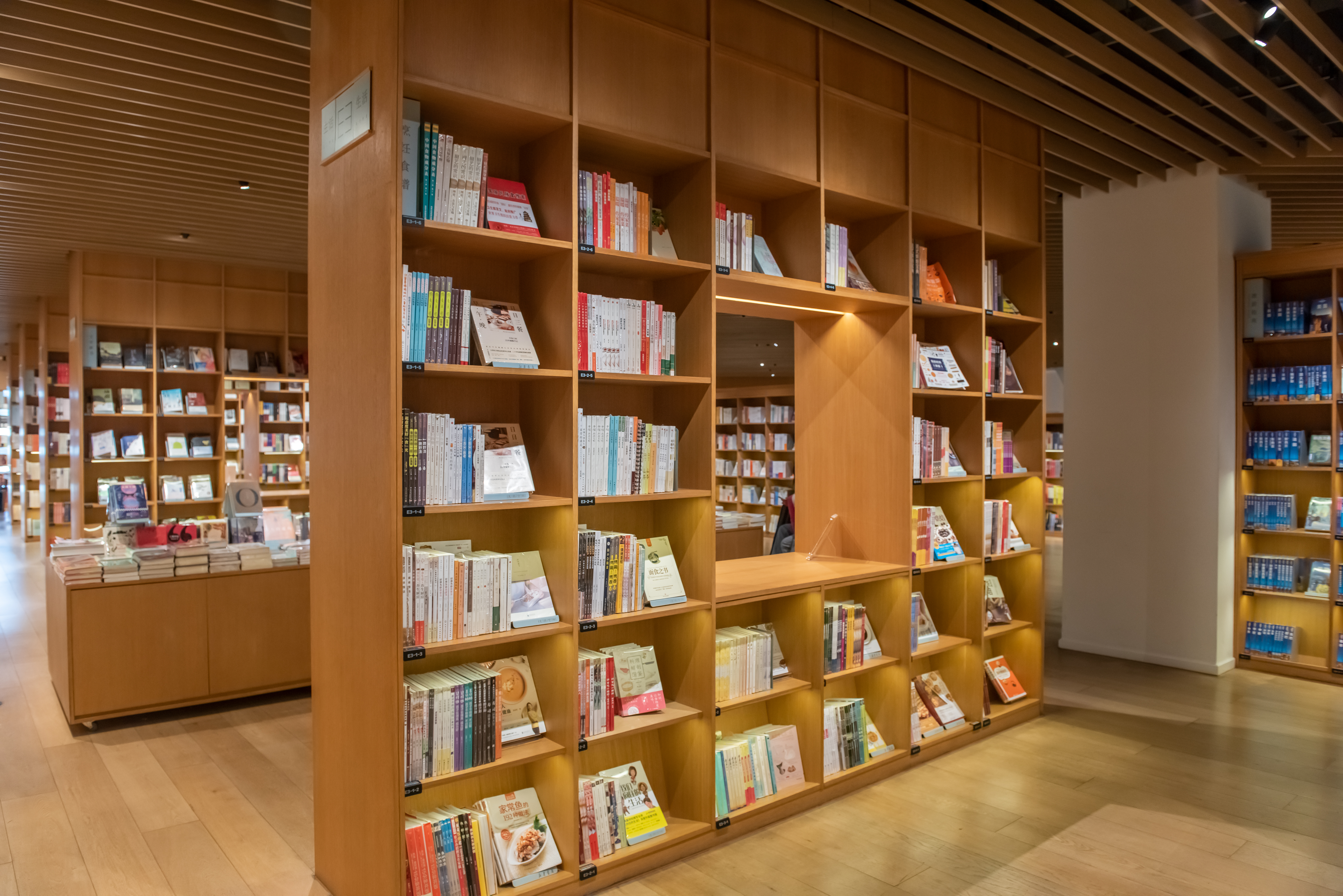 李清照的学习励志诗,早期的李清照调皮可爱