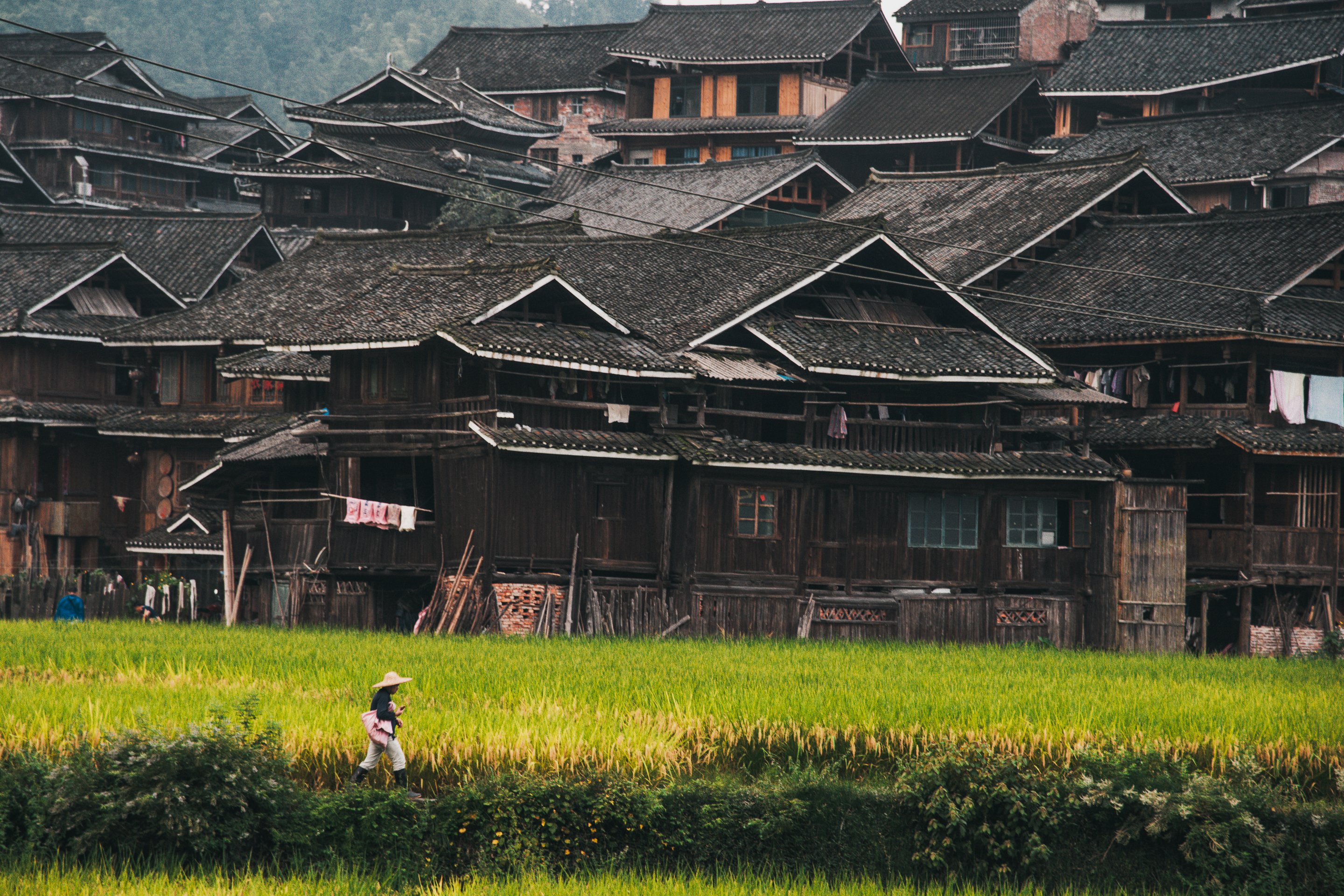 语言学话术有深层含义？带你跟着伦敦著名语言学家学习话术分析
