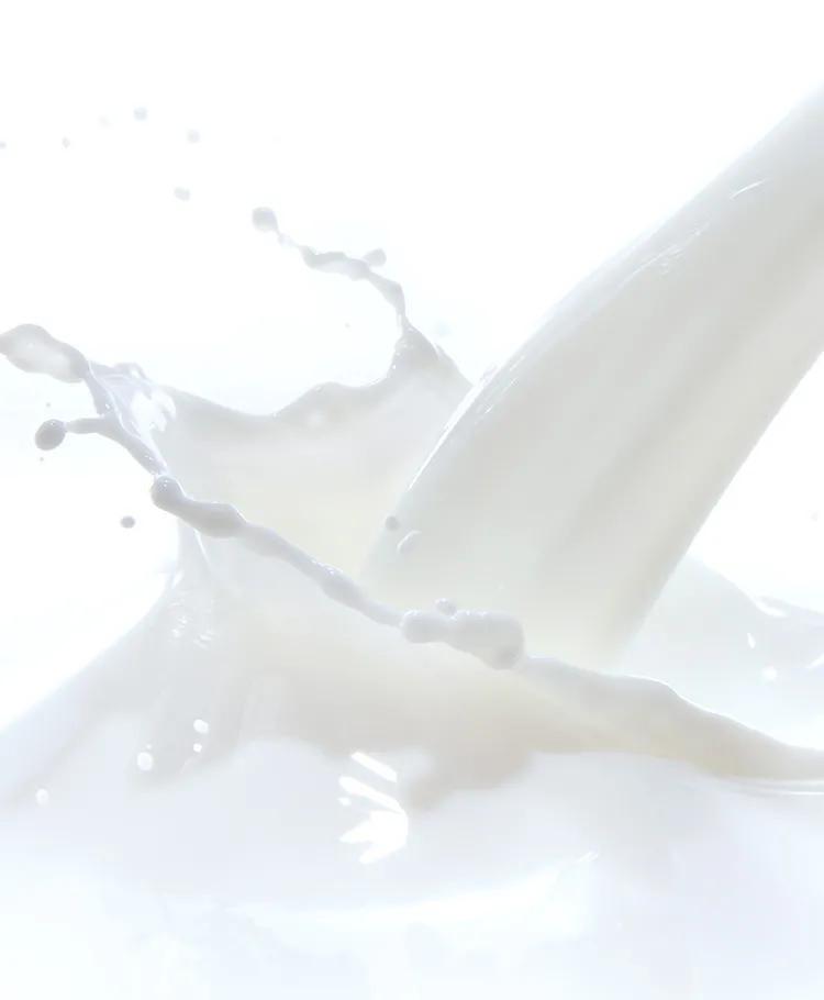 蛋糕店界的爱马仕,蛋糕界中的爱马仕上海