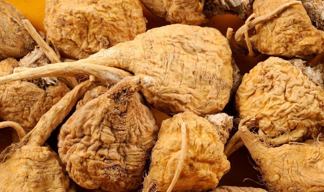 玛卡官方网站,玛卡官方视频