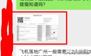 宠物托运全过程狗狗,宠物托运全过程国外