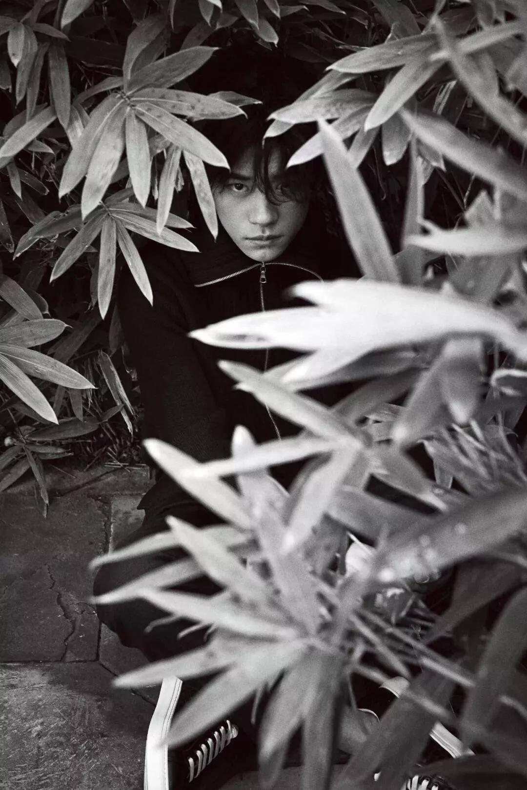 用一句话概括易烊千玺近期的事情,人物易烊千玺两万字专访